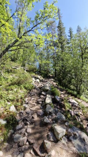 Geröllfelder Nationalpark Fulufjället