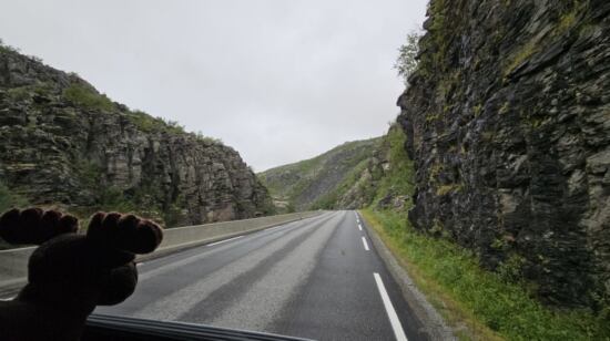 Felsige norwegische Landschaft