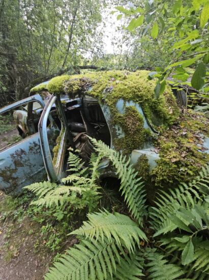 Autofriedhof Båstnäs Schweden