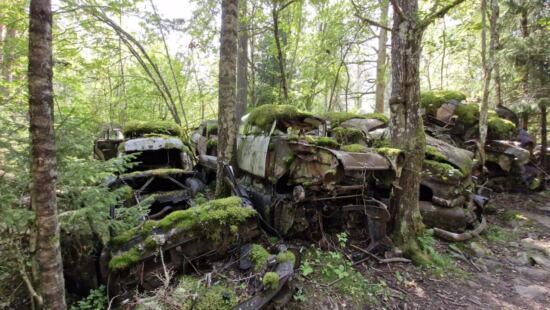 Autofriedhof Båstnäs Schweden