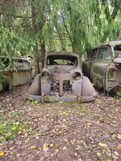 Autofriedhof Båstnäs Schweden