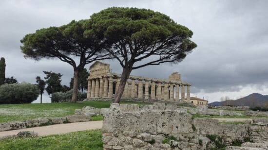 Paestum Tempel Athena