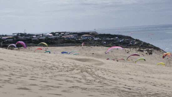 Paragleiter auf der Dune du Pilat
