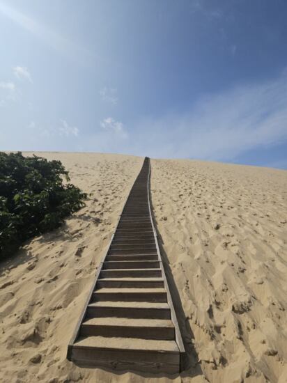 Holztreppen Dune du Pilat