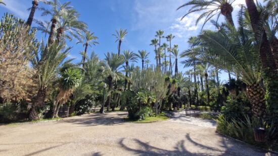 El Palmeral de Elche